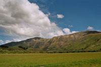 Neuseeland-typische Landschaft